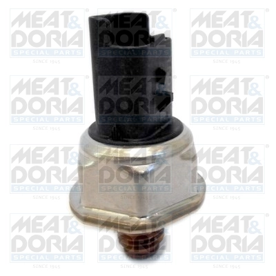 Sensor, fuel pressure